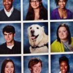 High School Therapy Dog
